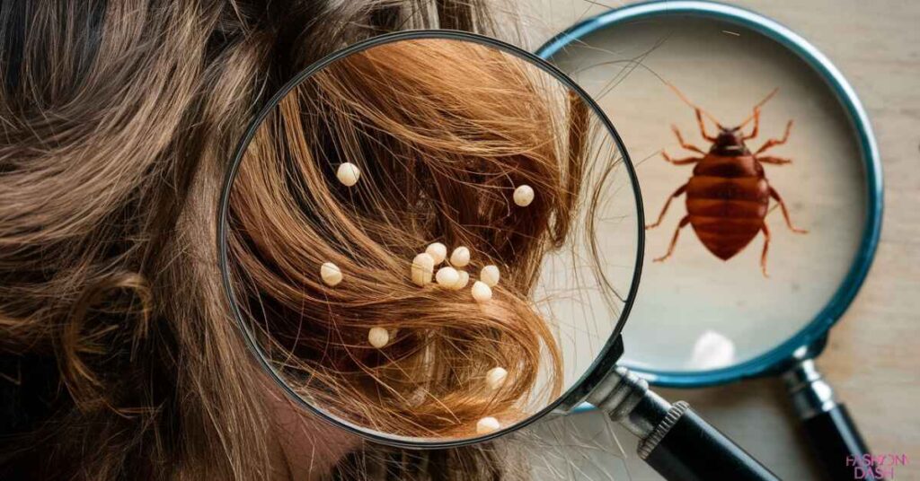 Can Bed Bugs Lay Eggs in Hair?